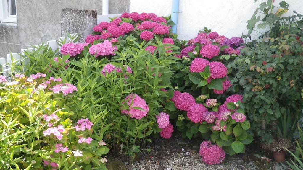 La Musardise Bed and Breakfast Guérande Esterno foto