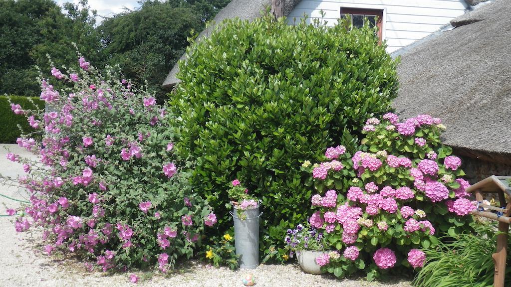 La Musardise Bed and Breakfast Guérande Esterno foto